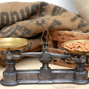 Balance Roberval – Force 1 kg