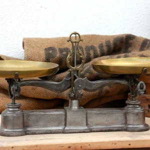 Balance Roberval – Force 5 kg