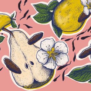 Kombucha bio poires fèves de tonka 33cl – Penrose