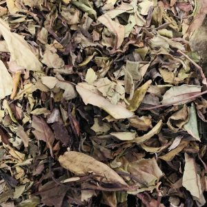 Thé blanc – Blanche Fanny