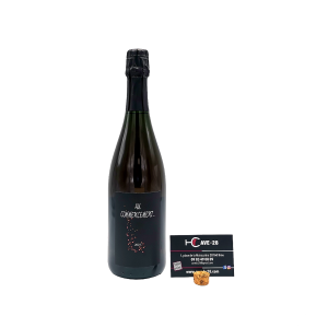 Vin de France mousseux 2023 – Au commencement – Domaine Renardat Fache