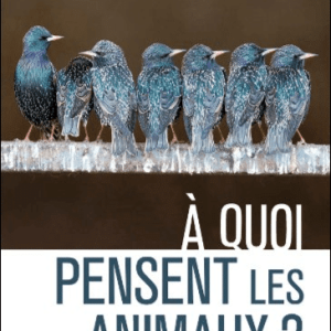 À quoi pensent les animaux ?