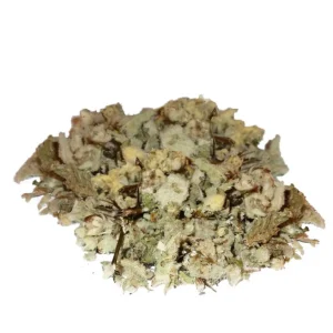 Bouillon blanc – sommités coupées – Bio