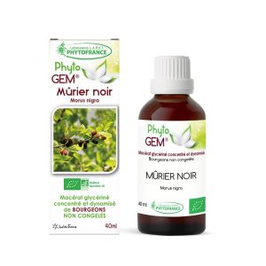 Mûrier noir bio – Gemmothérapie