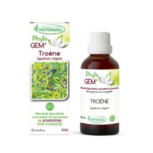 Troène bio – Gemmothérapie