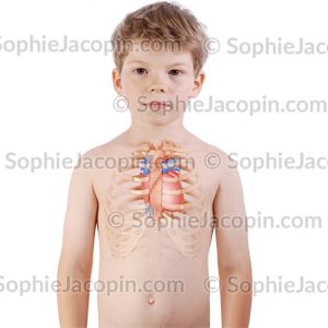 CŒUR ENFANT 6 ANS