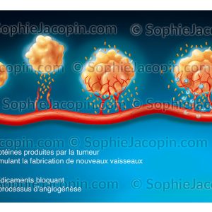 MÉDICAMENTS ANTI-ANGIOGÉNIQUES
